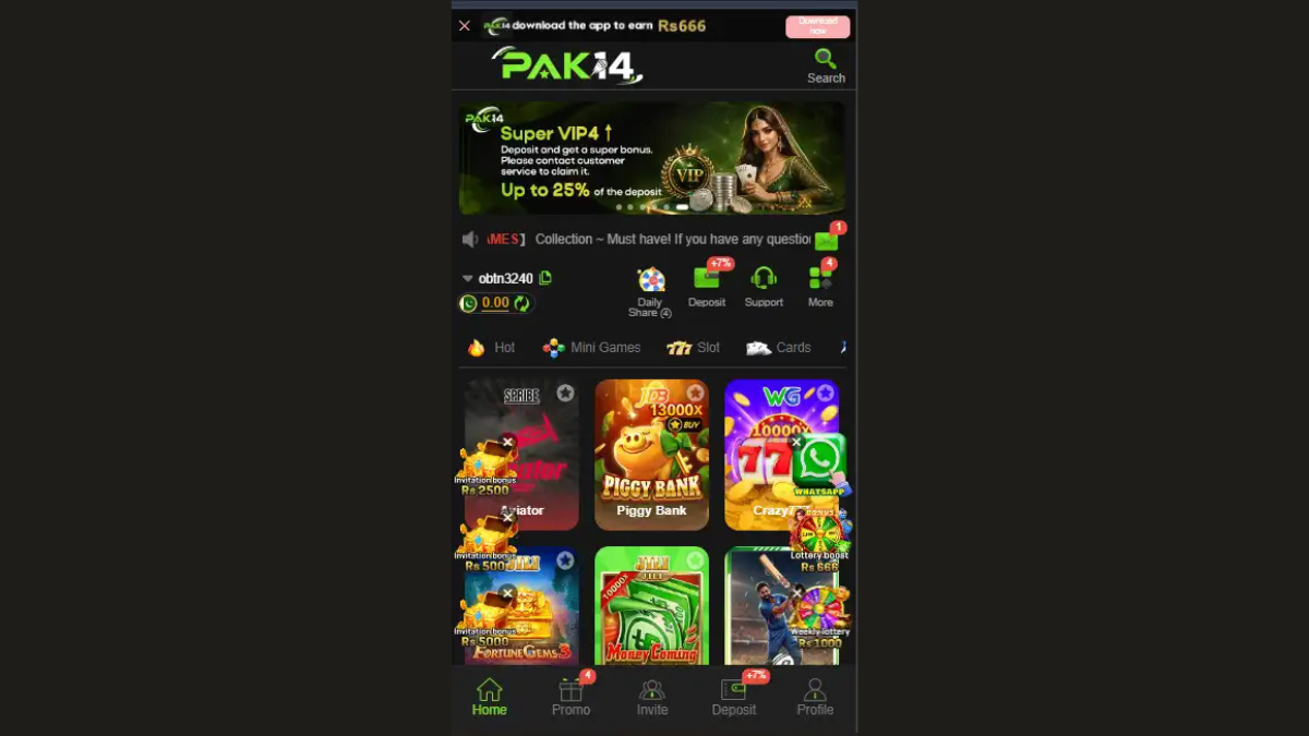 Pak14Game